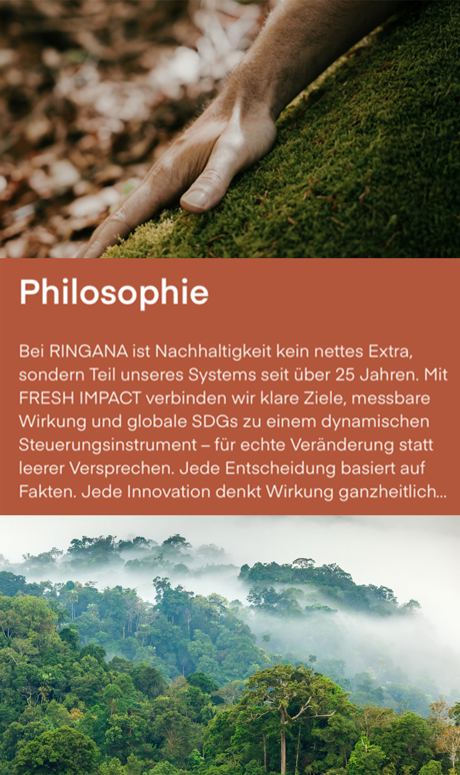 Sonja Steinhauser Meine Arbeit